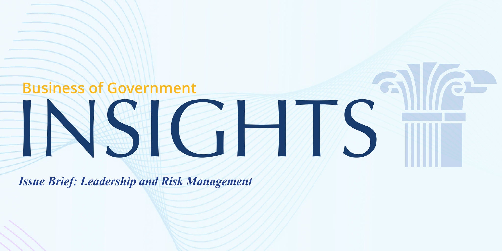 business of government insights
