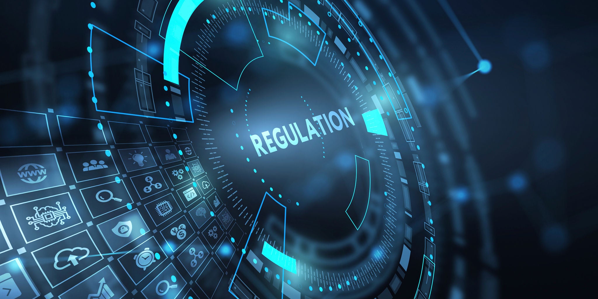 business of government regulation image