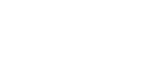 IBM - The Business of Government